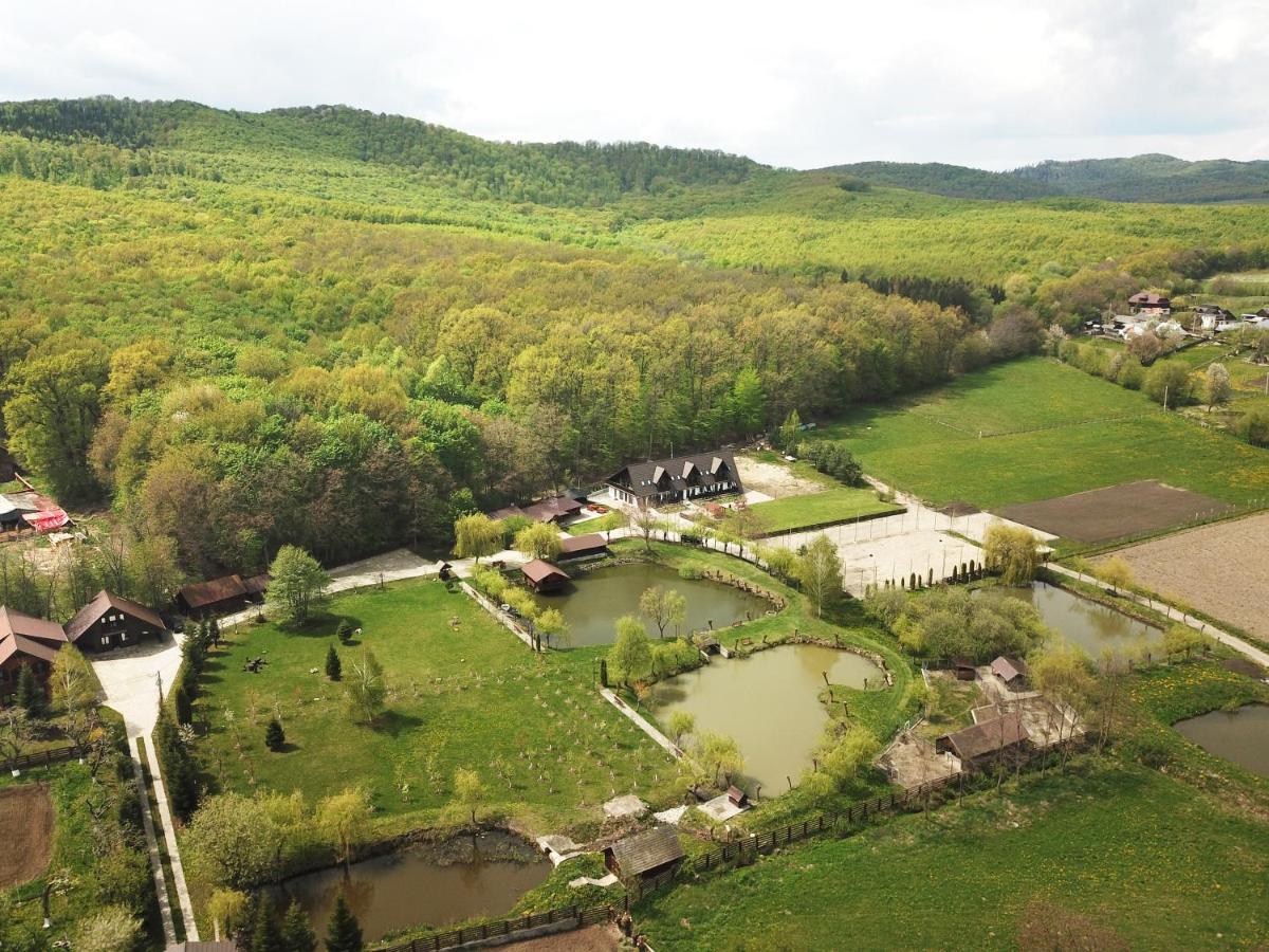 Cabana Paradisul Verde Neamt Targu Neamt Exterior foto