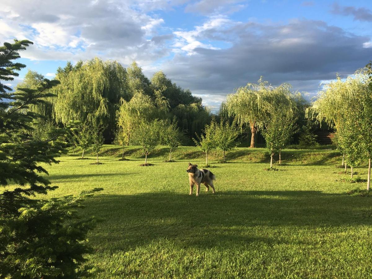 Cabana Paradisul Verde Neamt Targu Neamt Exterior foto
