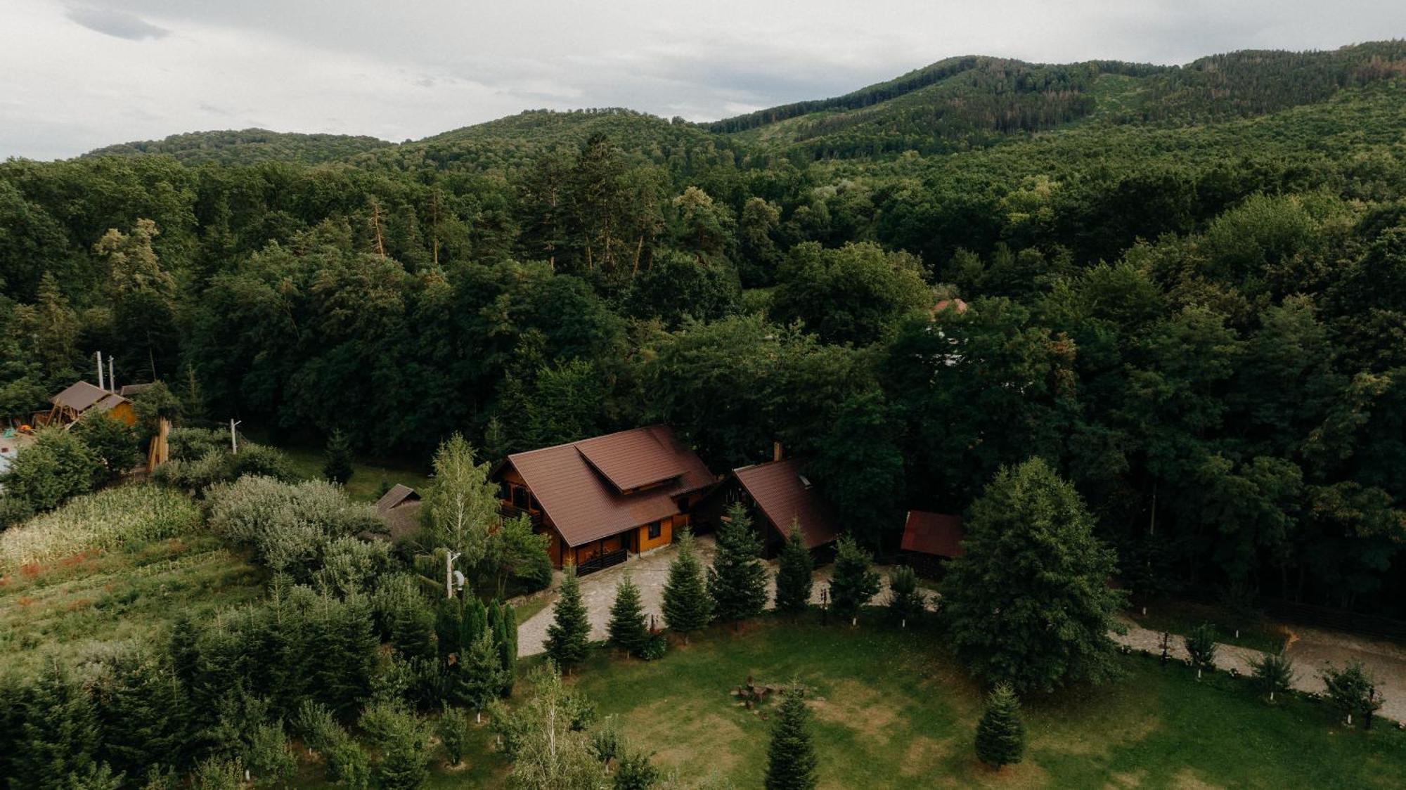 Cabana Paradisul Verde Neamt Targu Neamt Exterior foto
